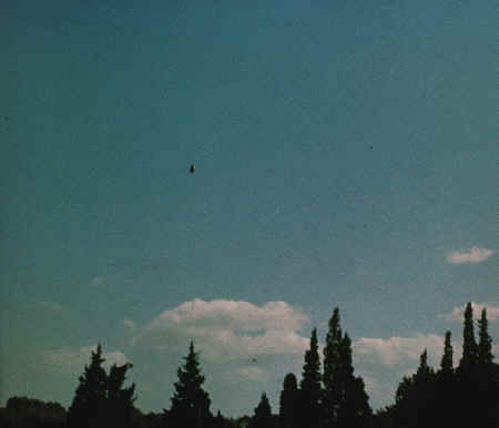 CE_1977-07-11UruguayFlorida2