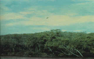 CE_1978-01-06ArgentinaEntreRios