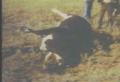 CE_1978-10-10USACOLoganCounty